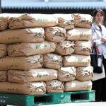 Stockpiled rice release starts in Japan