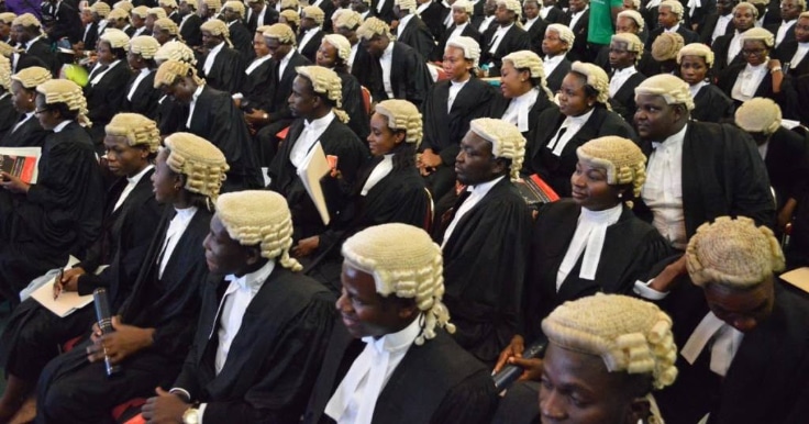 LAWYER (1)