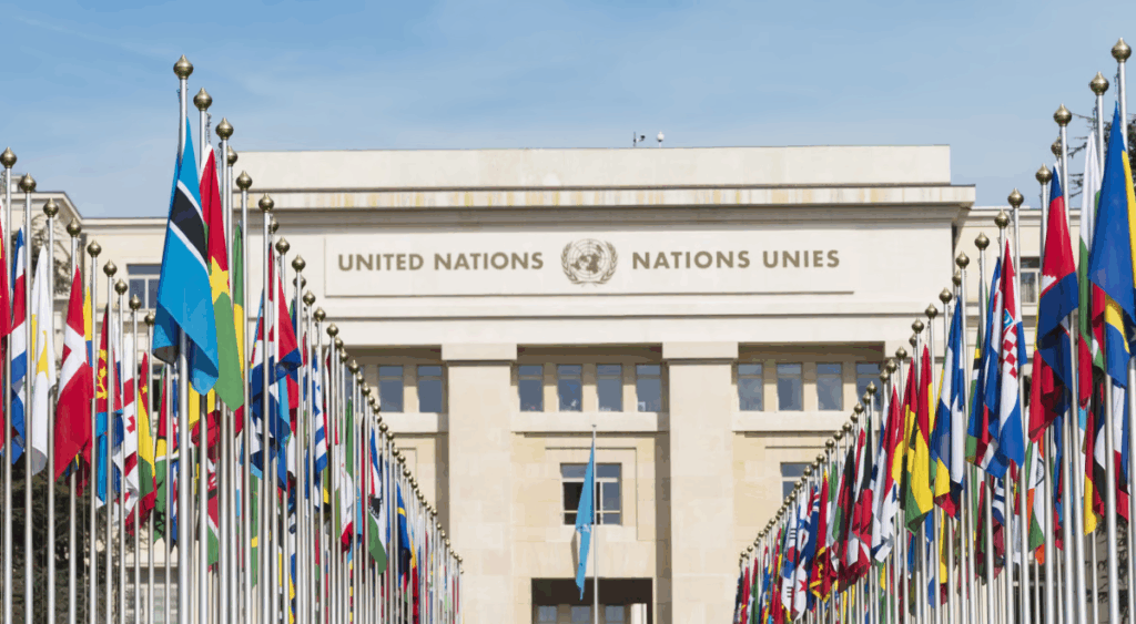 United Nation flag