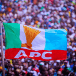 APC Flag
