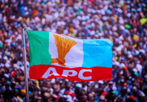 APC Flag