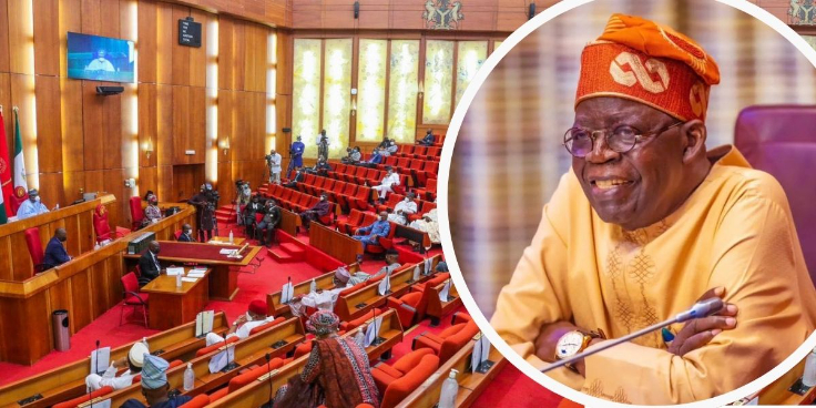 Senate/ President Bola Ahmed Tinubu
